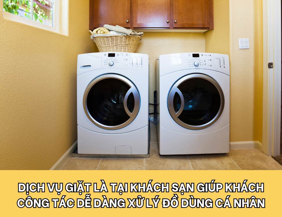 Dịch vụ giặt là và vệ sinh