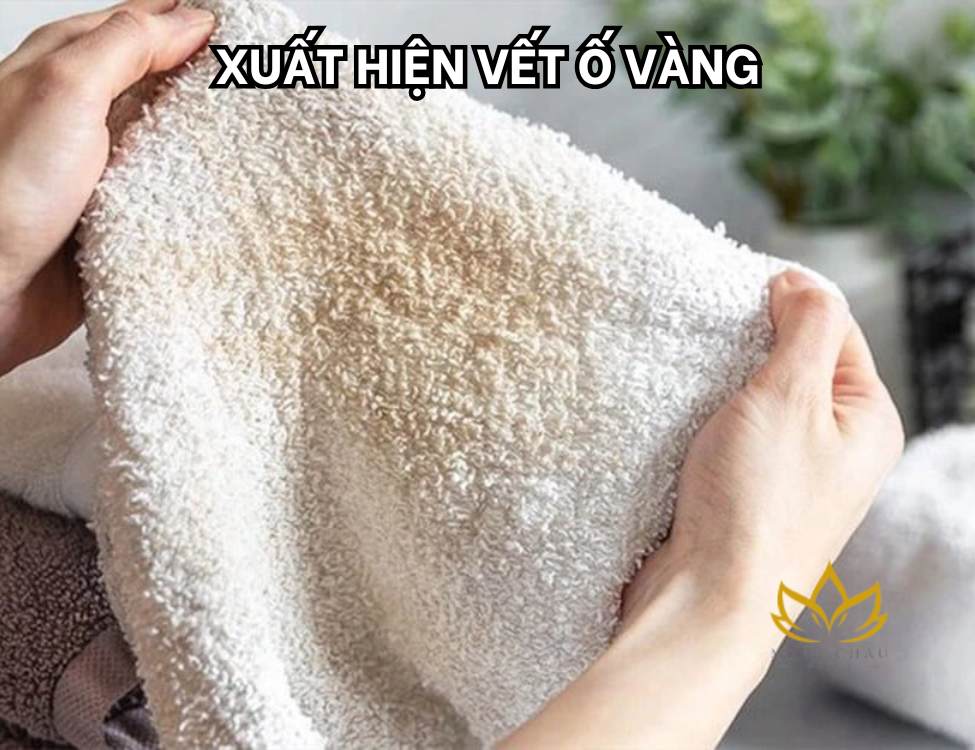 Xuất hiện vết ố vàng