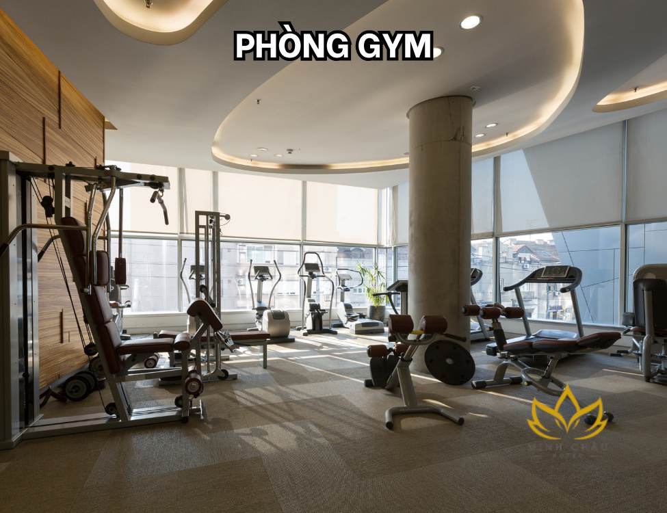 Phòng gym và trung tâm thể dục