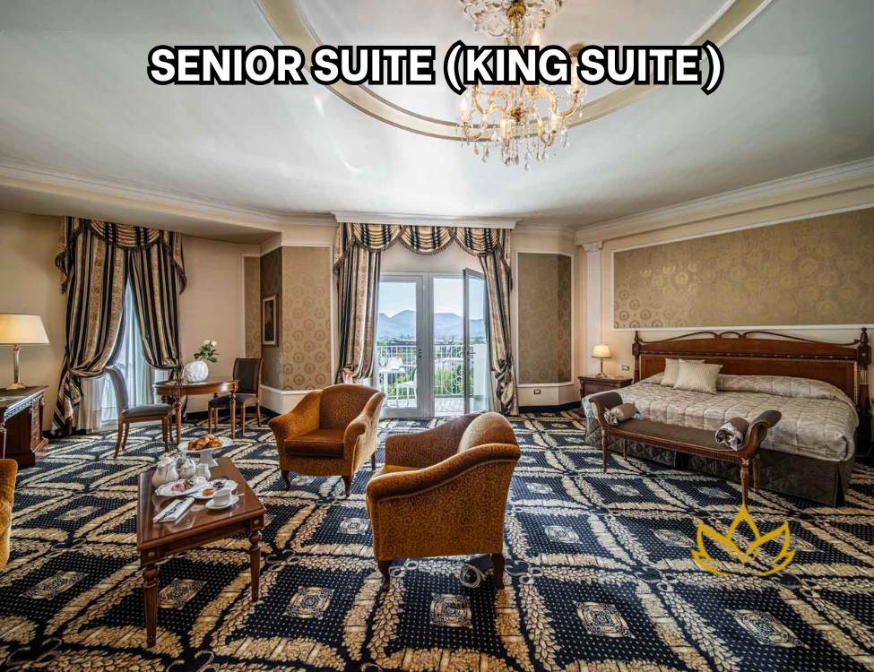 Senior Suite (King Suite)