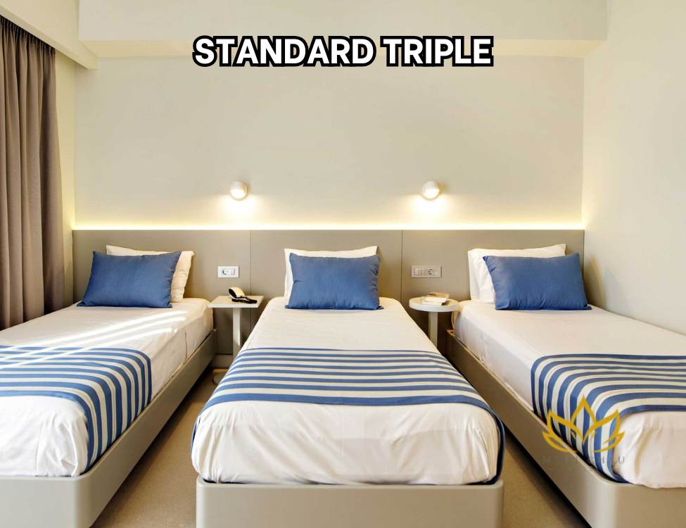 Standard Triple