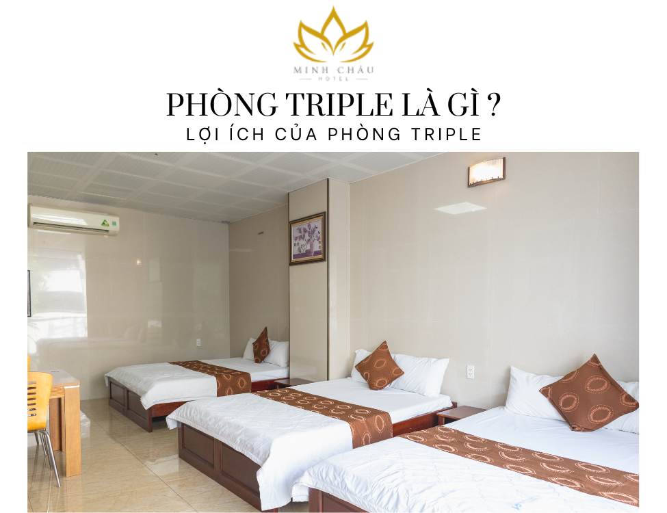 Phòng Triple Là Gì