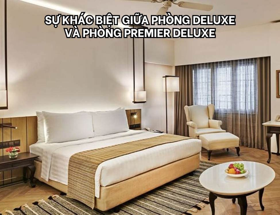 Sự khác biệt giữa phòng Deluxe và phòng Premier Deluxe