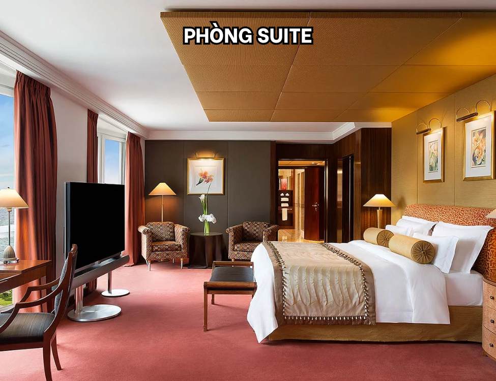Phòng Suite