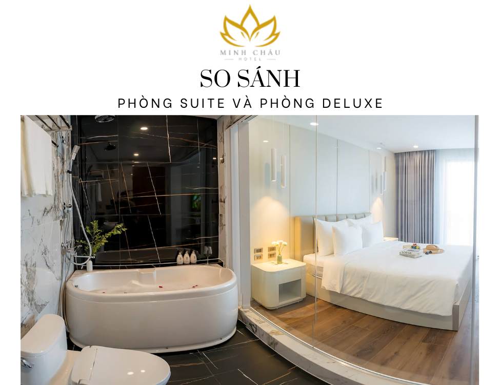 Phòng Suite và Phòng Deluxe