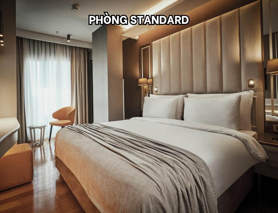 Phòng Standard (STD)