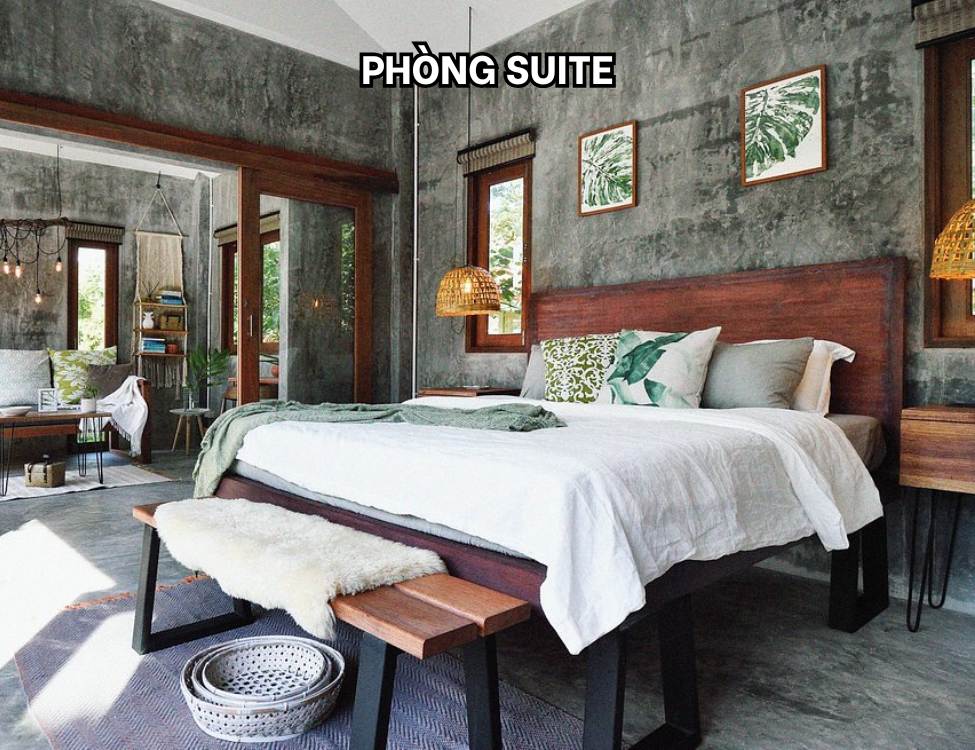 Phòng Suite (SUT)