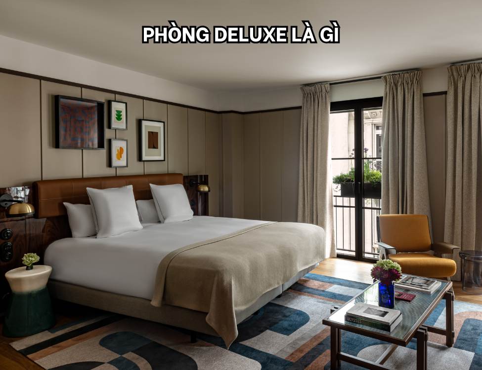 phòng Deluxe và phòng Premier