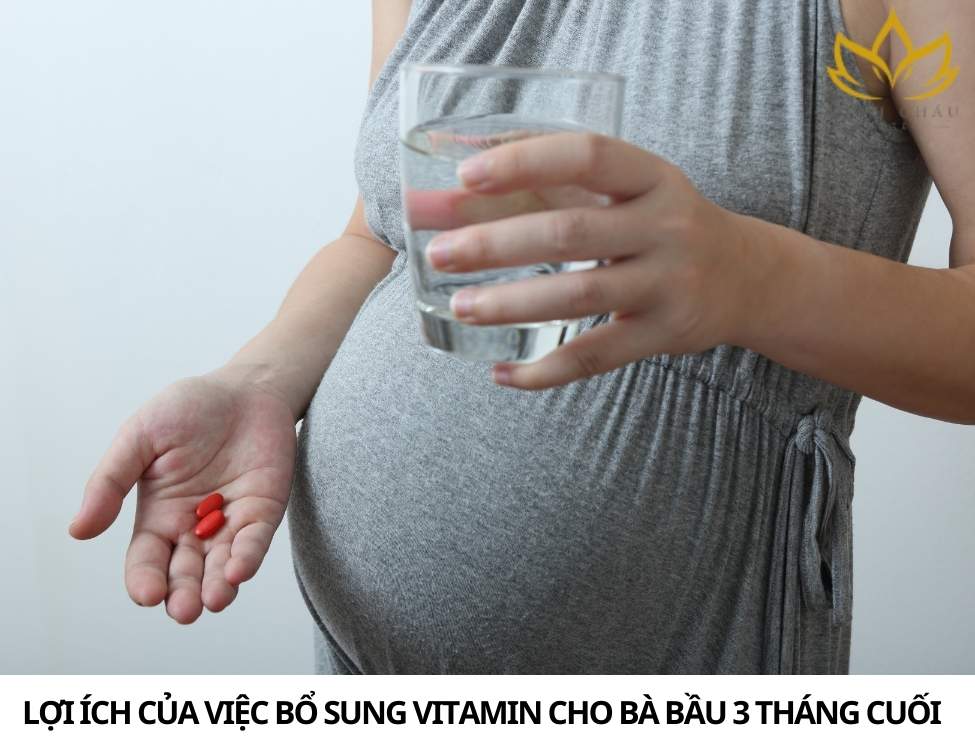 Bầu 3 tháng cuối nên bổ sung vitamin gì?