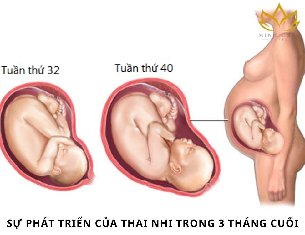 Chăm sóc mẹ bầu 3 tháng cuối