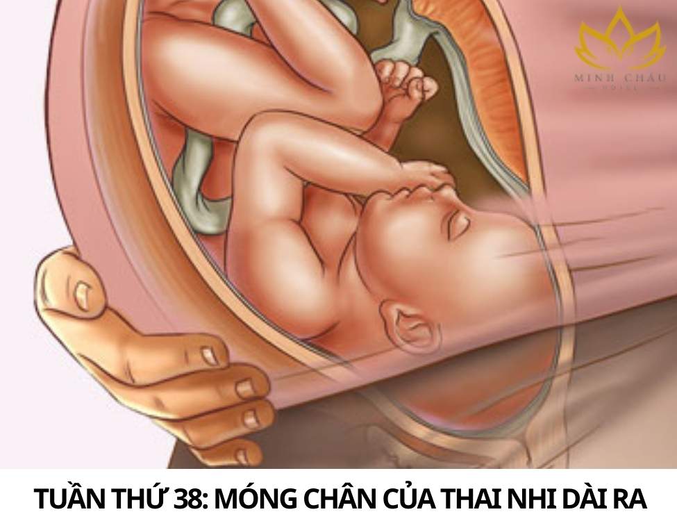 Dấu hiệu thai nhi khỏe mạnh 3 tháng cuối