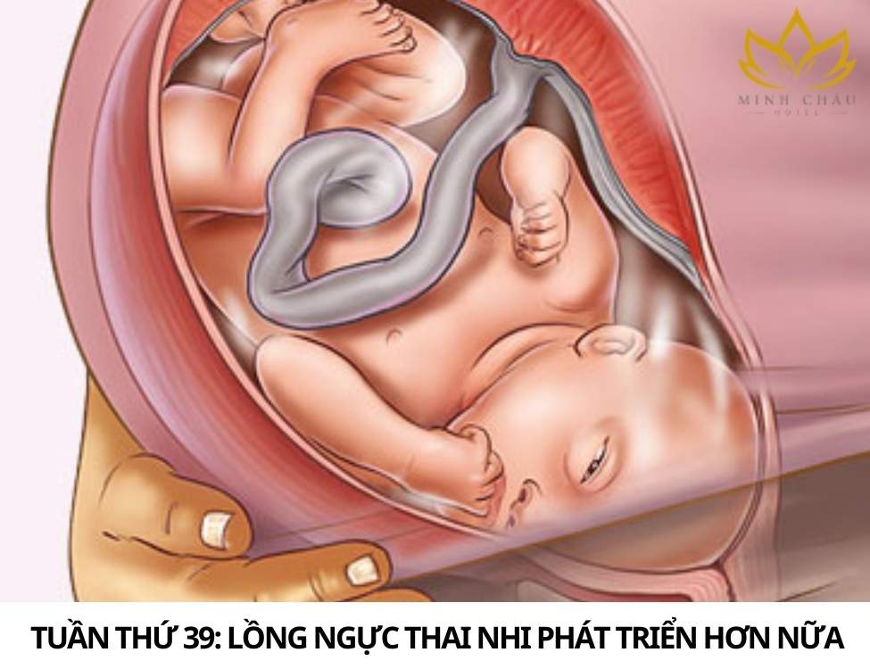 Dấu hiệu thai nhi khỏe mạnh 3 tháng cuối