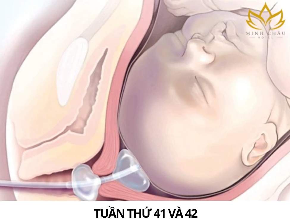 Dấu hiệu thai nhi khỏe mạnh 3 tháng cuối