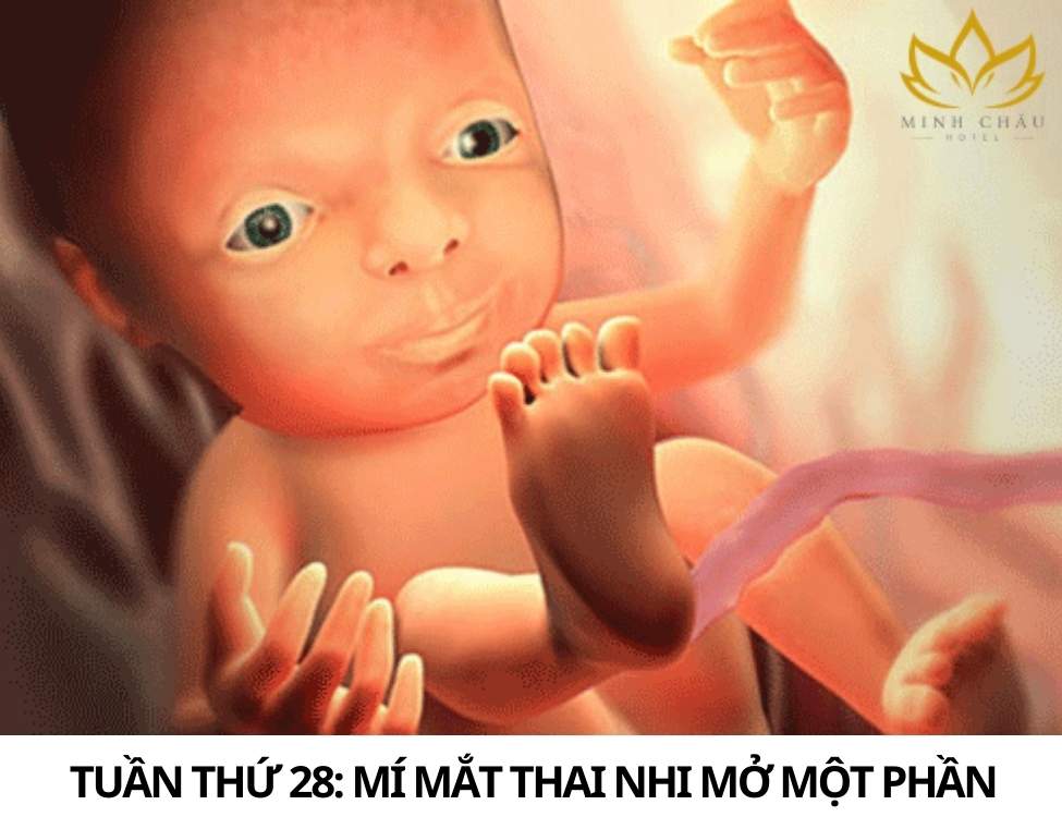 Dấu hiệu thai nhi khỏe mạnh 3 tháng cuối