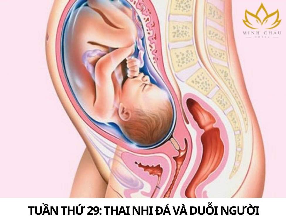 Dấu hiệu thai nhi khỏe mạnh 3 tháng cuối