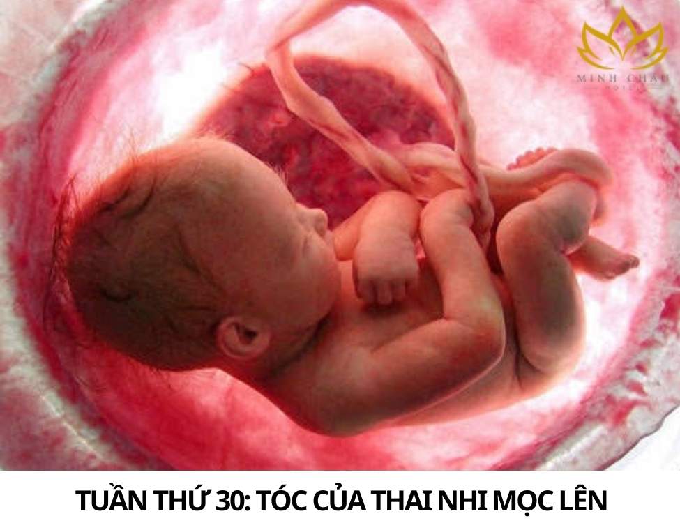 Dấu hiệu thai nhi khỏe mạnh 3 tháng cuối