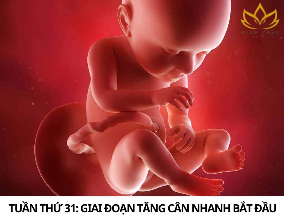 Dấu hiệu thai nhi khỏe mạnh 3 tháng cuối