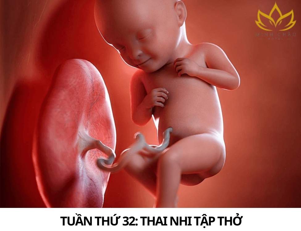 Dấu hiệu thai nhi khỏe mạnh 3 tháng cuối