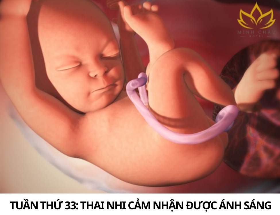 Dấu hiệu thai nhi khỏe mạnh 3 tháng cuối