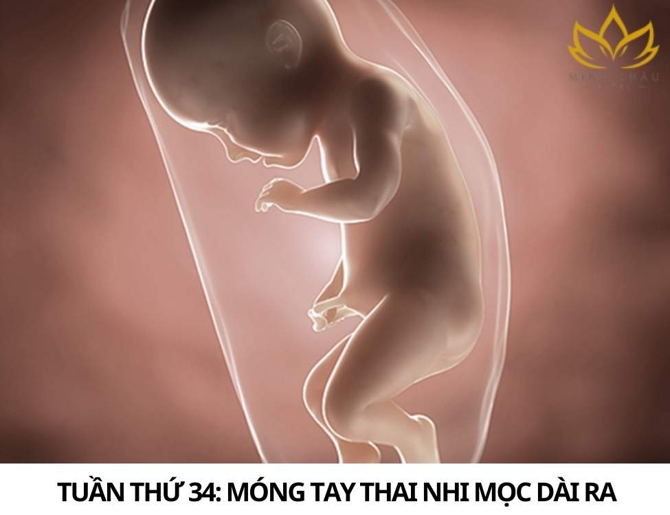 Dấu hiệu thai nhi khỏe mạnh 3 tháng cuối
