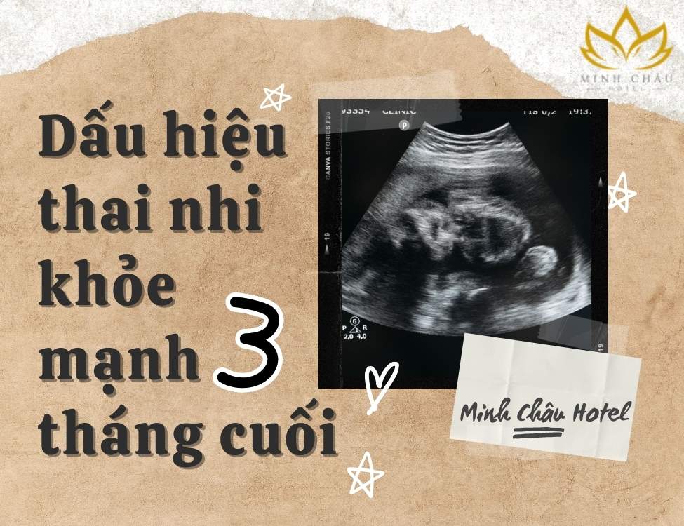 Dấu hiệu thai nhi khỏe mạnh 3 tháng cuối