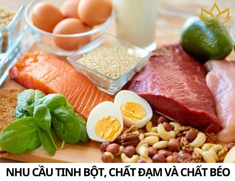 Thực đơn 3 tháng cuối vào con không vào mẹ
