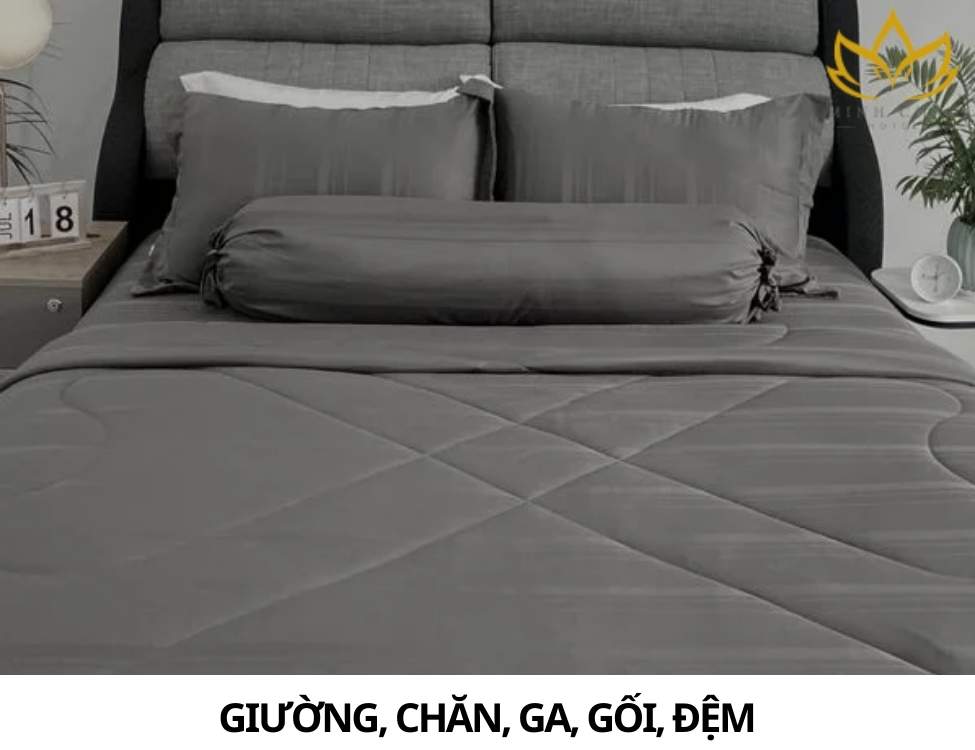 Tân sinh viên cần chuẩn bị gì khi ở trọ