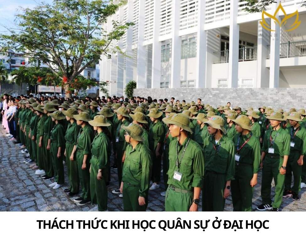 học quân sự ở đại học học những gì