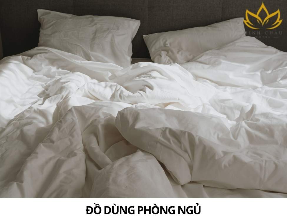sinh viên năm nhất cần mua những gì